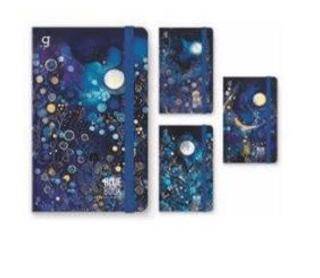 Gıpta 7412 Blue Book İp Dik Sert Kapak Defter 13X21 96 Çiz -Düz - 1