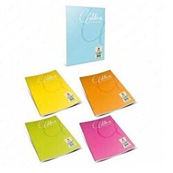 Gıpta Mica Defter Çizgili Tel Dikiş Pp Kapak A4 40 Yaprak - Gıpta