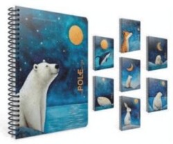 Gıpta Pole Notes Spiralli Pp Kapak Defter 17X24 80 Çizgili - Gıpta