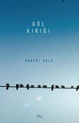 Gül Kırığı - Bengisu Yayınları