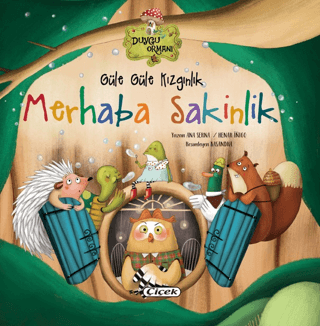 Güle Güle Kızgınlık Merhaba Sakinlik - 1