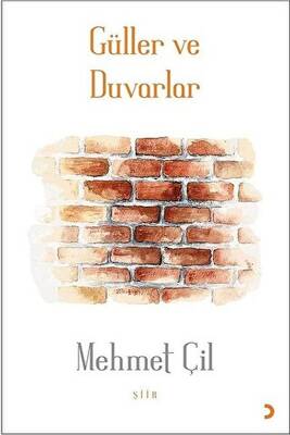 Güller ve Duvarlar - 1
