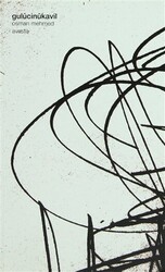 Gulücinükavil - Avesta Yayınları