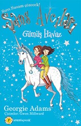 Gümüş Havuz - Şans Avcıları 2 - Artemis Yayınları