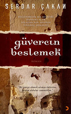 Güvercin Beslemek - 1