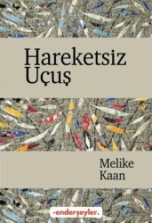 Hareketsiz Uçuş - Ender Şeyler