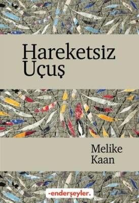 Hareketsiz Uçuş - 1