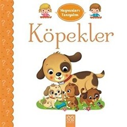 Hayvanları Tanıyalım - Köpekler - 1001 Çiçek Kitaplar