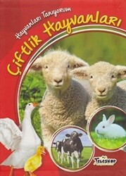Hayvanları Tanıyorum - Çiftlik Hayvanları - Teleskop Popüler Bilim