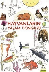 Hayvanların Yaşam Döngüsü - Elma Çocuk