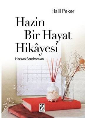 Hazin Bir Hayat Hikayesi - 1