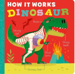 How it Works - Dinosaur - Little Tiger Group