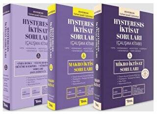 Temsil Kitap Hysteresis İktisat Soruları Seti - 1