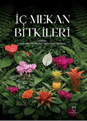 İç Mekan Bitkileri - 1