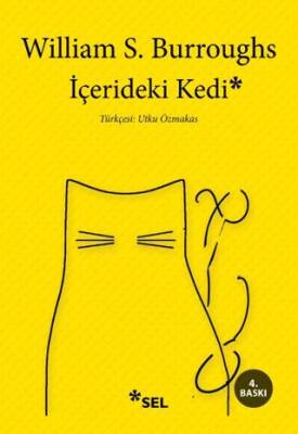 İçerdeki Kedi - 1