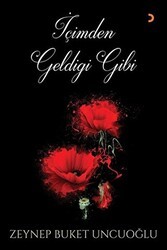 İçimden Geldiği Gibi - Cinius Yayınları