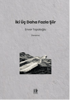 İki Üç Daha Fazla Şiir - 1