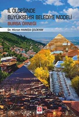 İl Ölçeğinde Büyükşehir Belediye Modeli: Bursa Örneği - 1