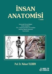 İnsan Anatomisi - 1