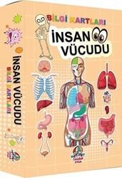 İnsan Vücudu - Bilgi Kartları - Yağmur Çocuk
