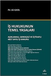 İş Hukukunun Temel Yasaları - Dora Basım Yayın