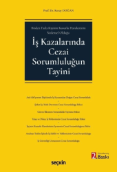 İş Kazalarında Cezai Sorumluluğun Tayini - Seçkin Yayıncılık