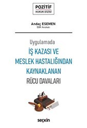 İş Kazası ve Meslek Hastalığından Kaynaklanan Rücu Davaları - Seçkin Yayıncılık