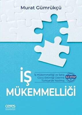 İş Mükemmelliği - 1