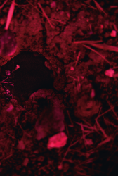 Islak Hüzün - Masa Yayınevi