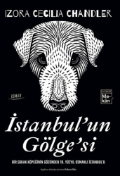 İstanbul`un Gölgesi - Everest Yayınları