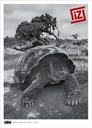 İz Dergisi Sayı: 46 - Fotoğrafevi Yayınları