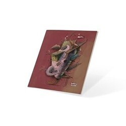 Kalipso Balık Ev 13x14 64 Sayfa Çizgisiz Butik Defter - Başka Defter