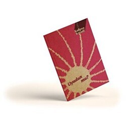 Kalipso Uyudun Mu 13x20 196 Sayfa Çizgisiz Butik Defter - Başka Defter