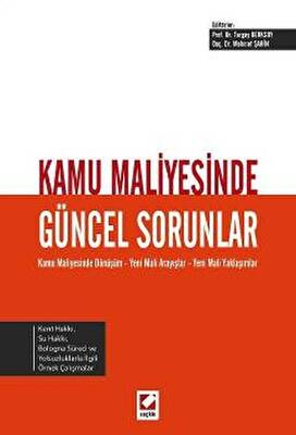 Kamu Maliyesinde Güncel Sorunlar - 1