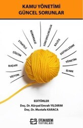 Kamu Yönetimi Güncel Sorunlar - Efe Akademi Yayınları