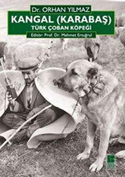 Kangal Karabaş Türk Çoban Köpeği - Bilge Kültür Sanat