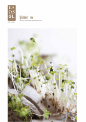 Kaos GL Dergisi 196 - Şiddet - Kaos GL Dergisi Yayınları