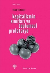 Kapitalizmin Sınırları ve Toplumsal Proletarya - Yordam Kitap