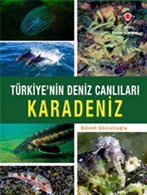 Karadeniz - Türkiye`nin Deniz Canlıları