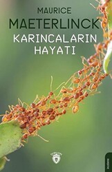 Karıncaların Hayatı - Dorlion Yayınları