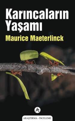 Karıncaların Yaşamı - 1