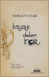 Kayayı Delen İncir - Yapı Kredi Yayınları