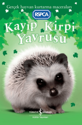 Kayıp Kirpi Yavrusu - 1