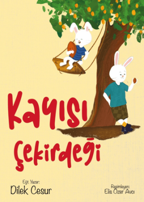 Kayısı Çekirdeği - 1