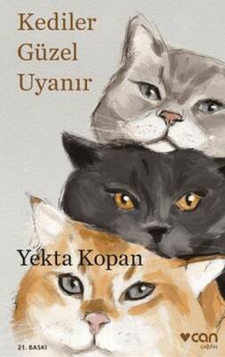 Kediler Güzel Uyanır - 1