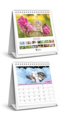 Keskin Color 2026 - Kare Masa Takvimi - Kediler - 1