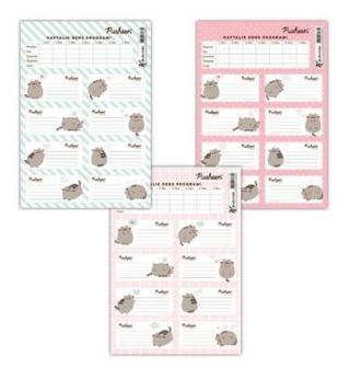 Keskin Color Pusheen Ders Programlı 3Lü Etiket - 1