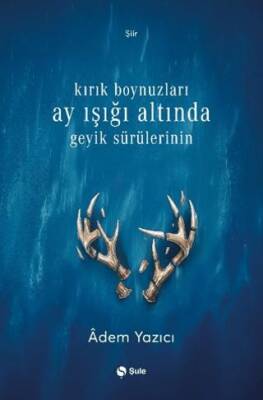 Kırık Boynuzları Ay Işığı Altında Geyik Sürülerinin - 1