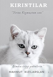 Kırıntılar - Odessa Yayınevi