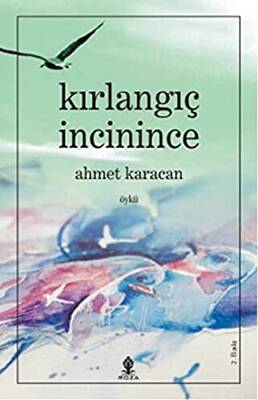 Kırlangıç İncinince - 1